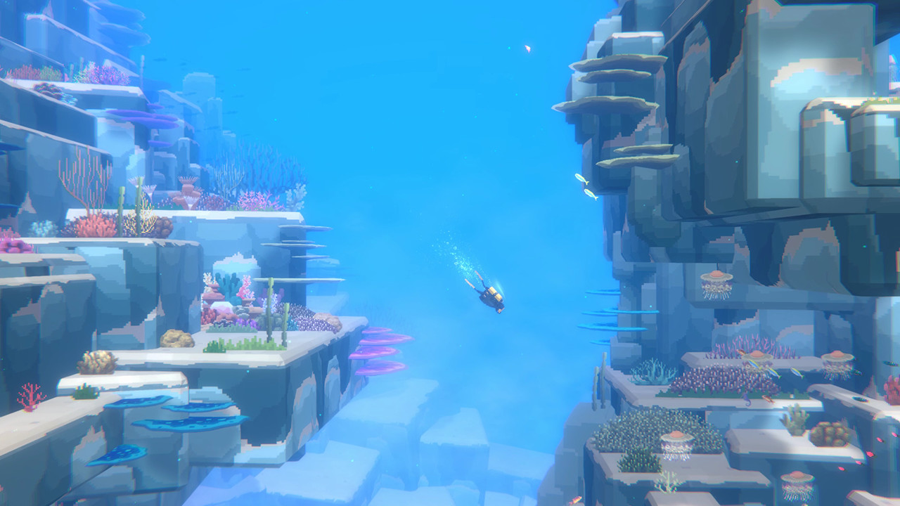 Exploring the Blue Hole with harpoon in hand